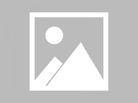 祝贺喜邦.中国-江西省喜邦装饰材料有限公司网站上线